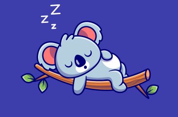 Koala spi