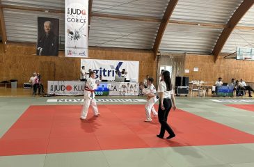 judo