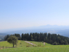 2-pogled
