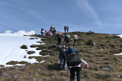 Velika planina